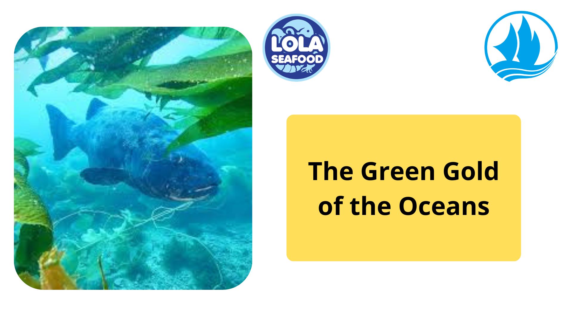 The Green Gold of the Oceans